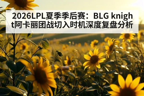 2026LPL夏季季后赛：BLG knight阿卡丽团战切入时机深度复盘分析