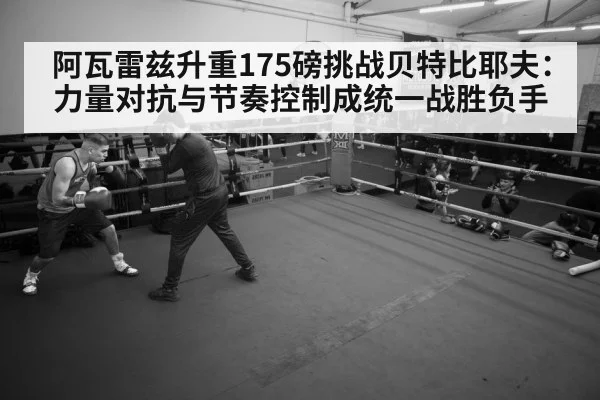 boxer training gym